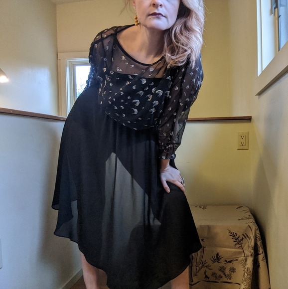 Vintage Sheer Evening Dress - Picture 3 of 5